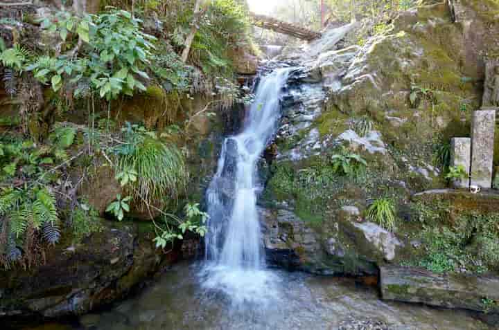 ���H�̑�E��O����̒���